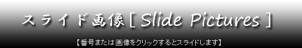 slide-pictuer-title