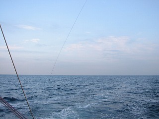 東京湾竹岡沖