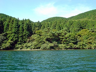 白浜西岸
