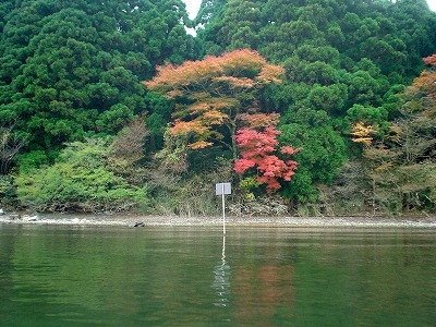 紅葉