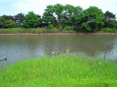 野鳥公園