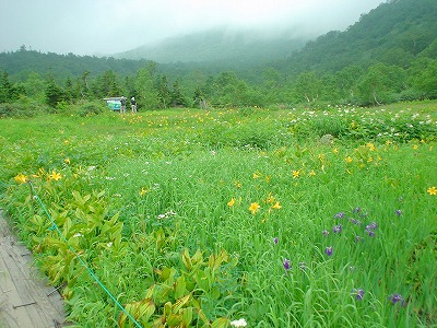 栂池